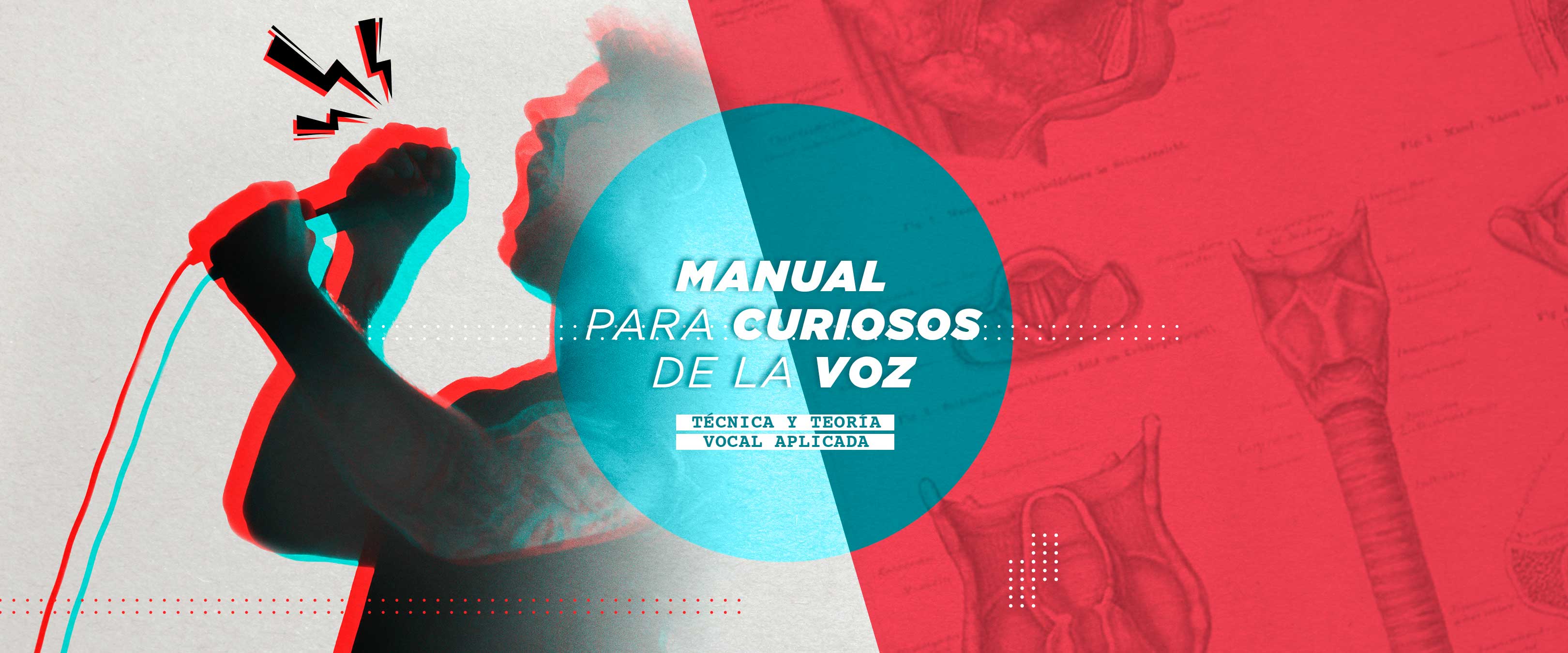 Manual para curiosos de la voz